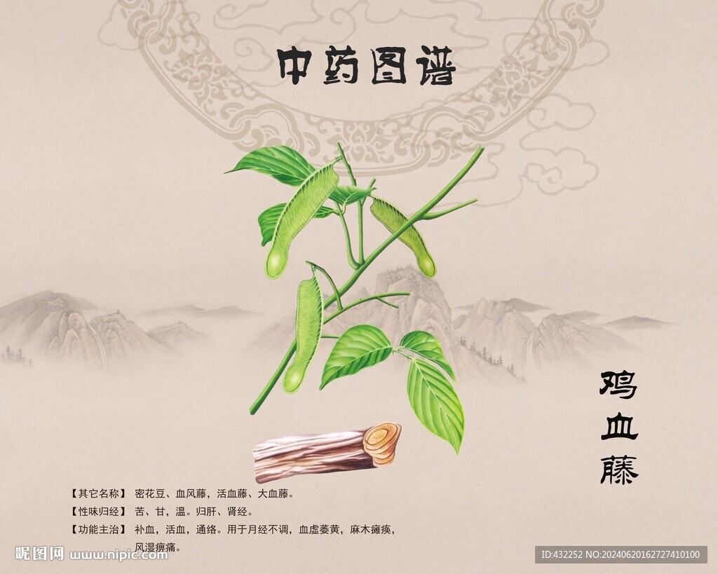 鸡血藤 
