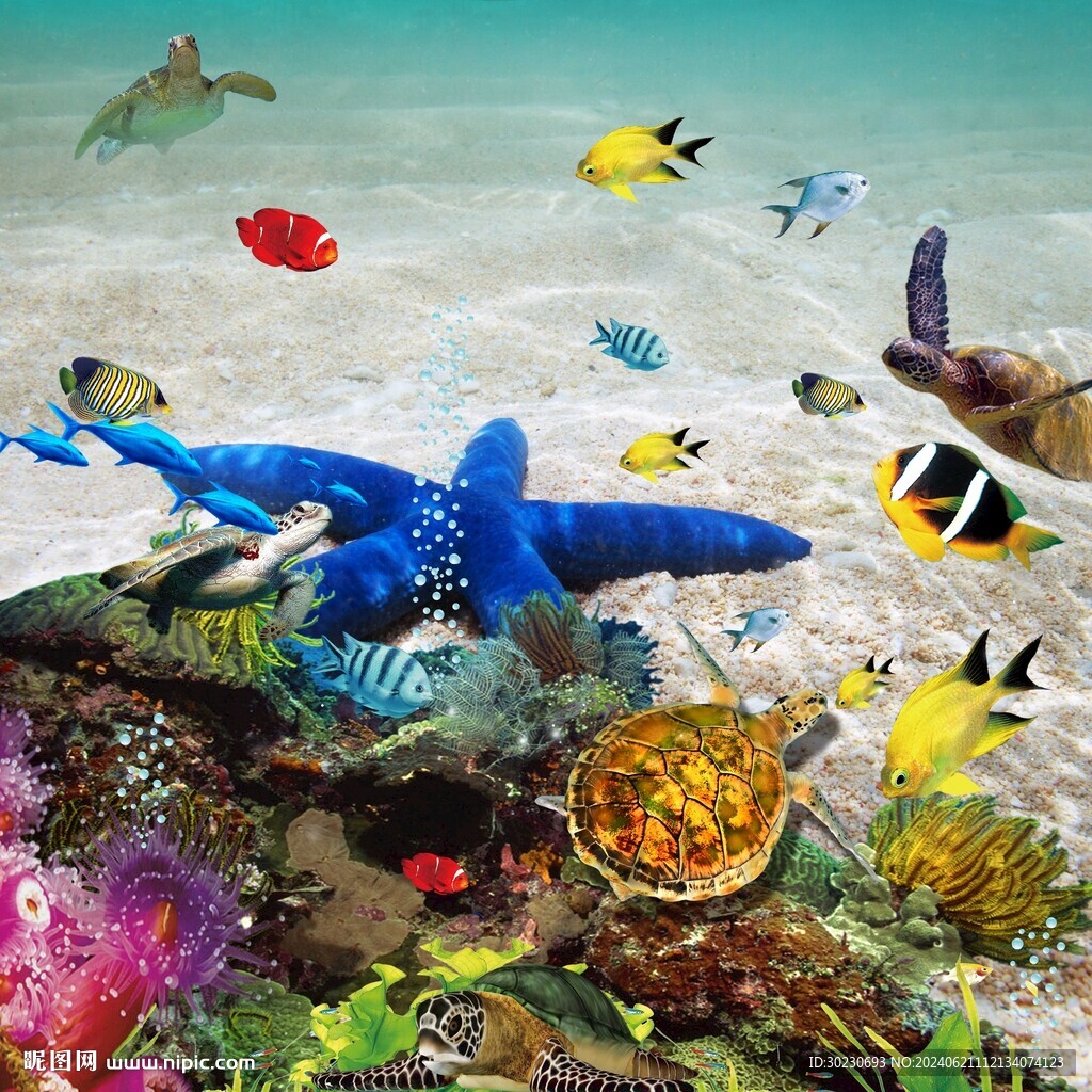 海星海龟