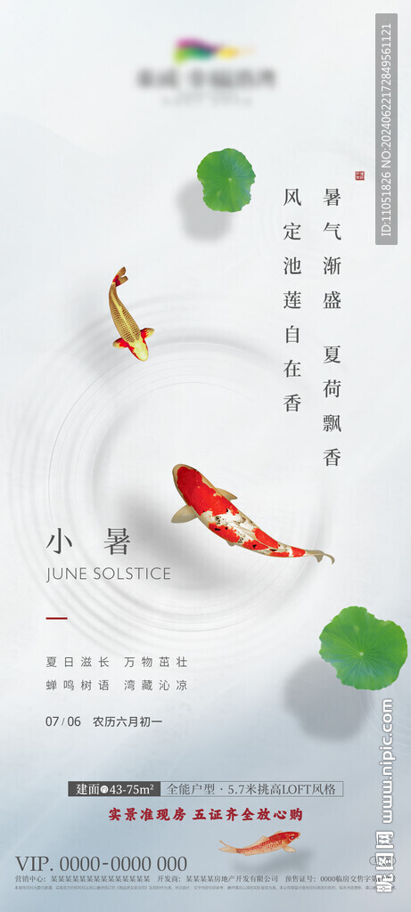 小暑 节气