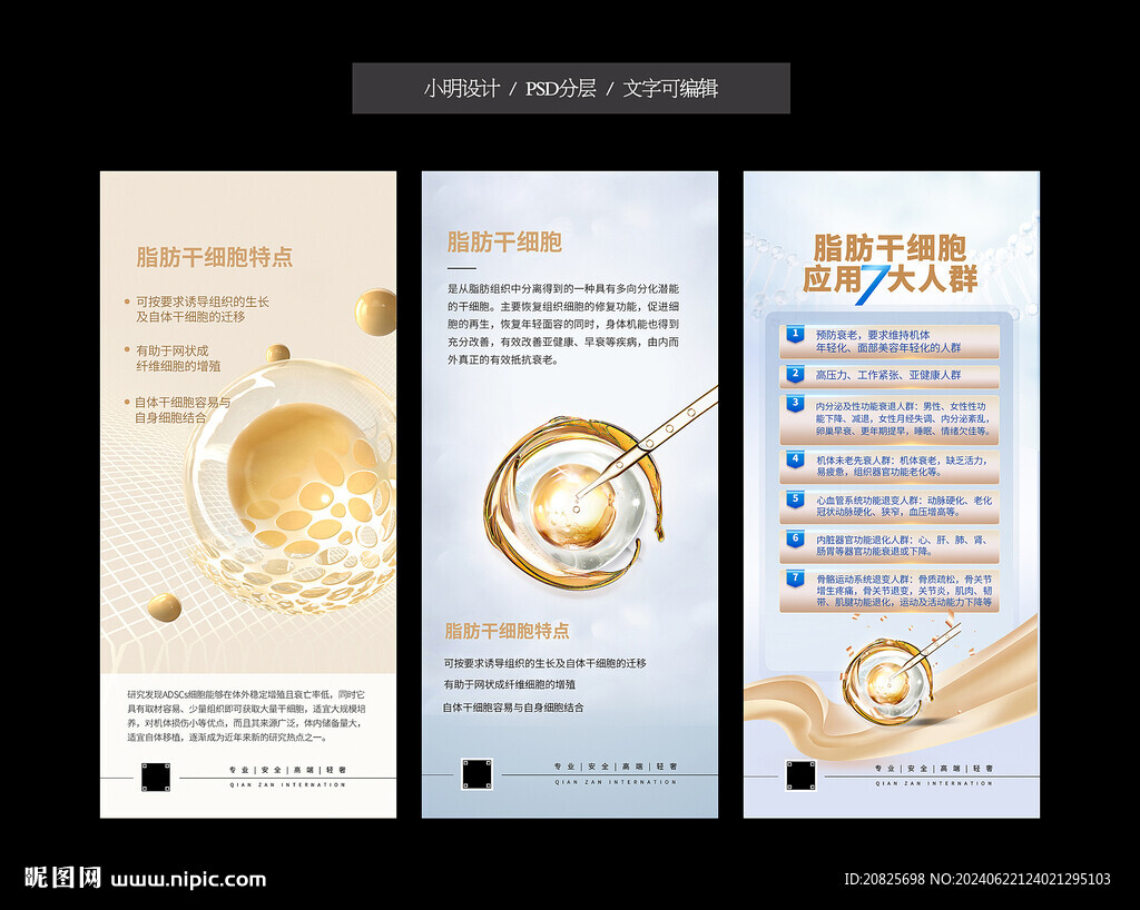 脂肪干细胞