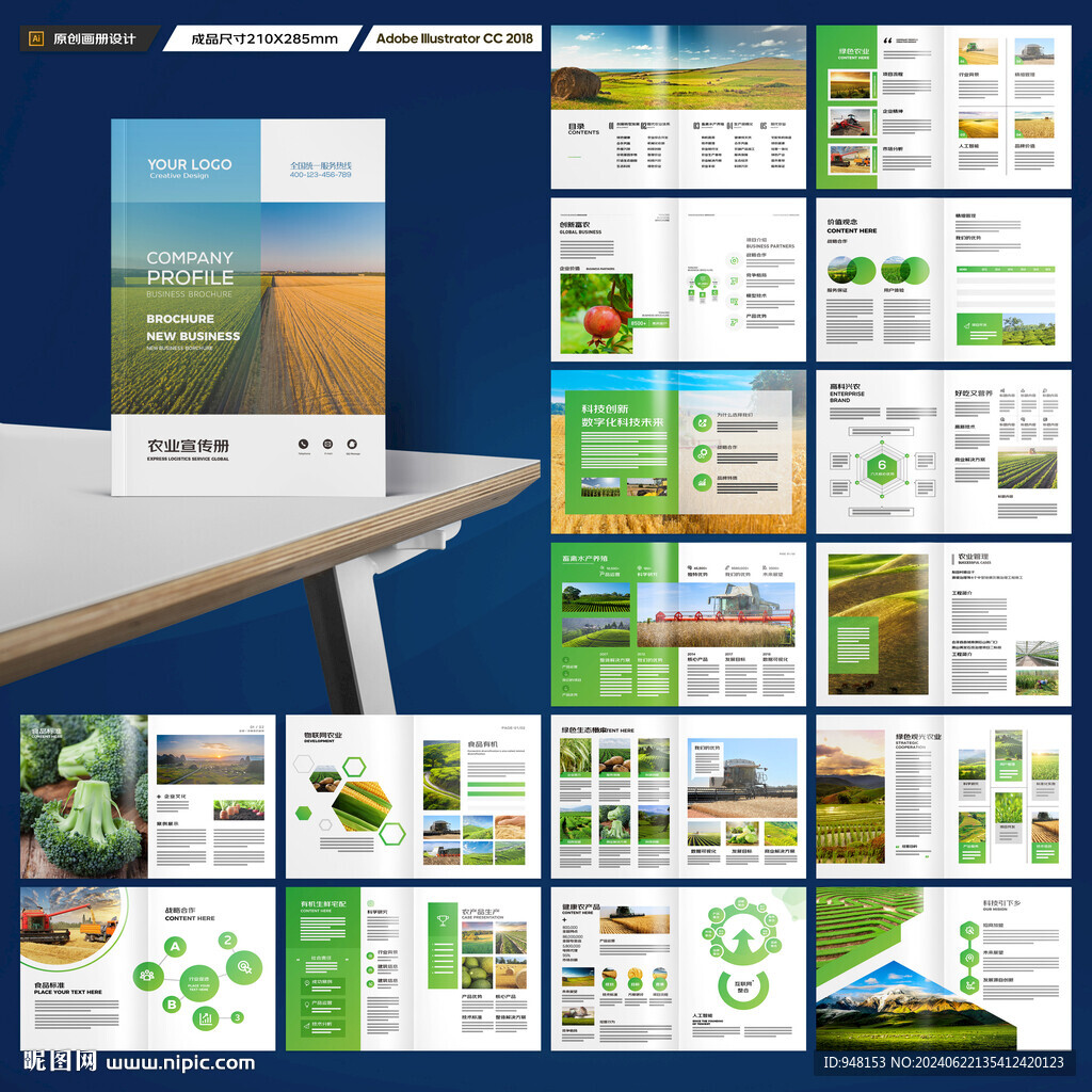 农产品宣传册