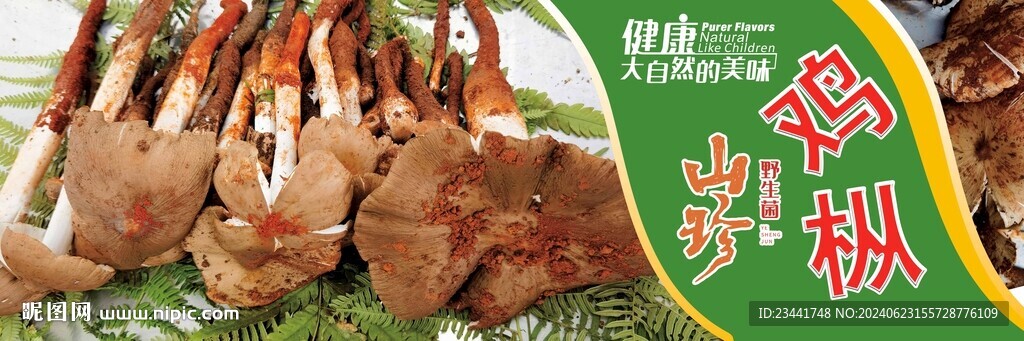 野生菌海报