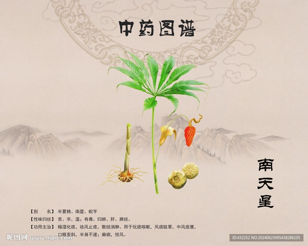 南天星