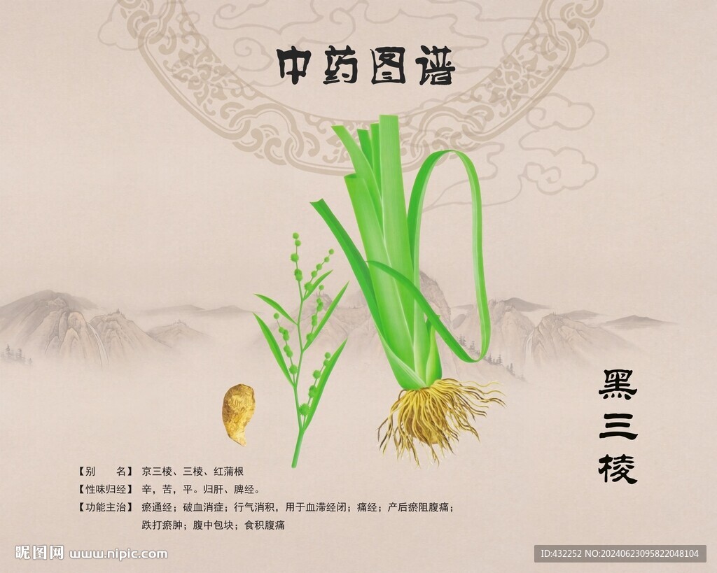 黑三棱