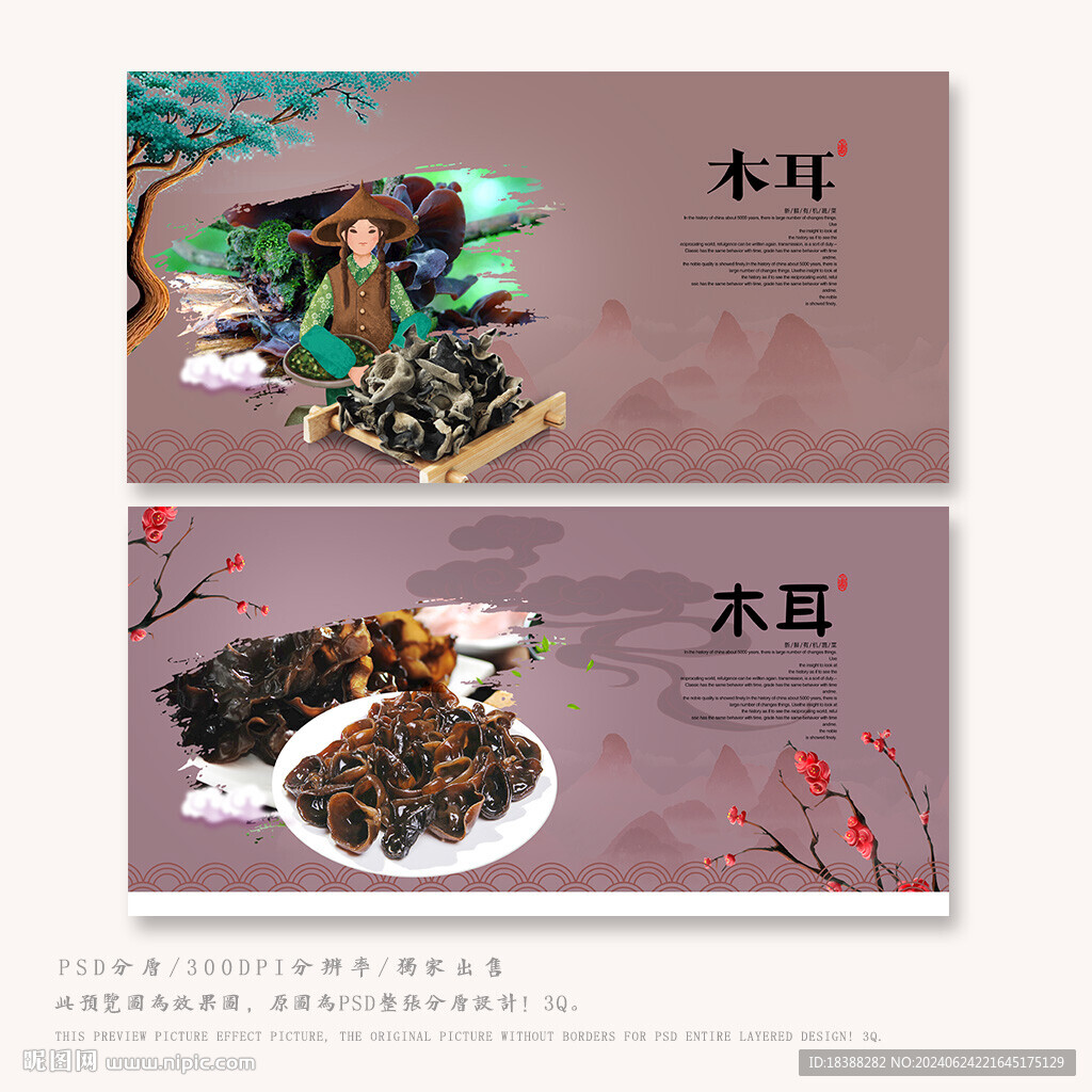 木耳
