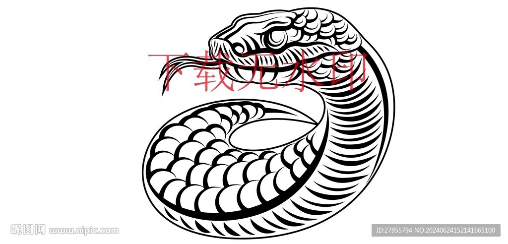 蛇艺术绘画