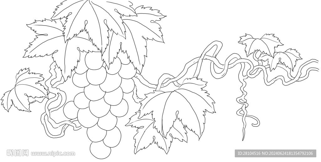 白描葡萄 
