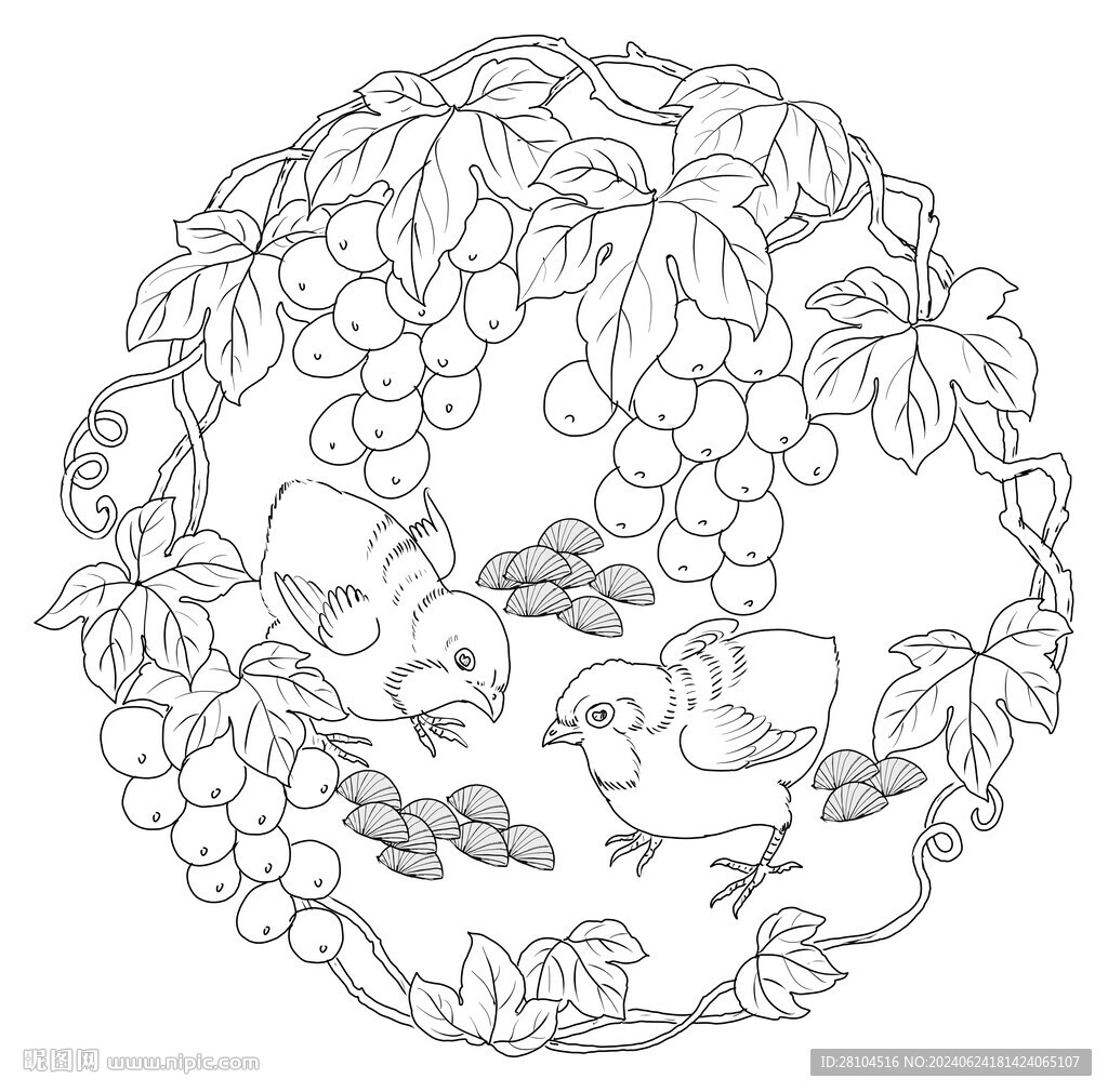 葡萄小鸡