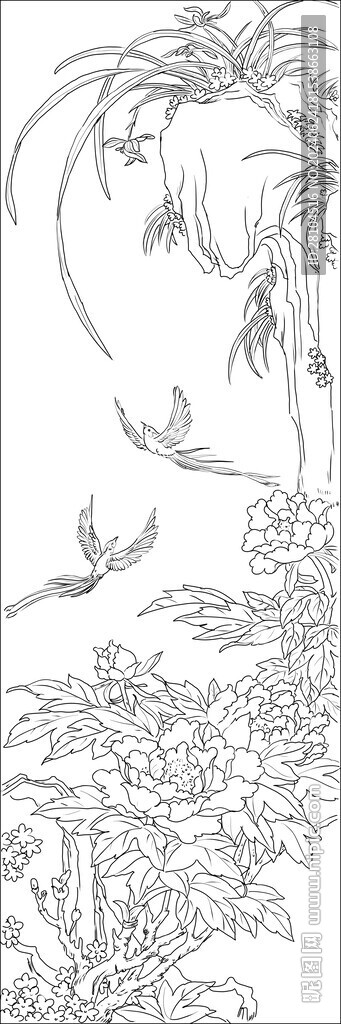 牡丹