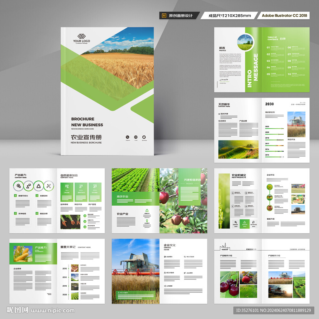 农产品宣传册