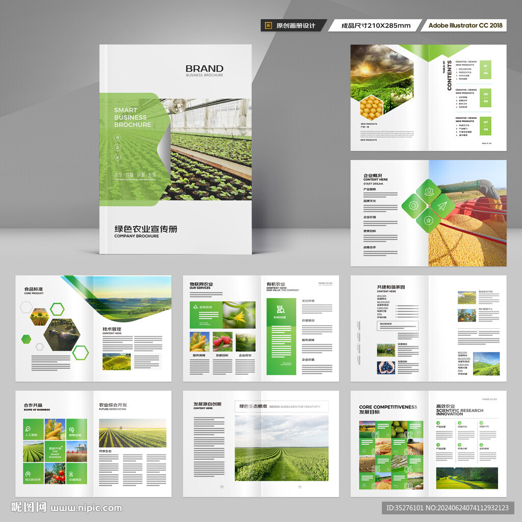 农产品宣传册