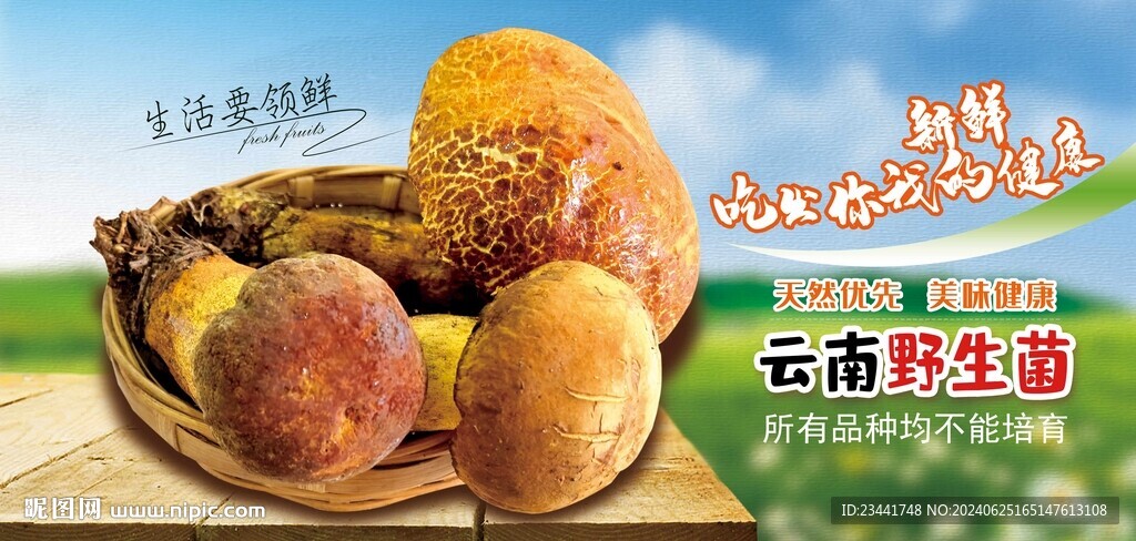 野生菌广告  