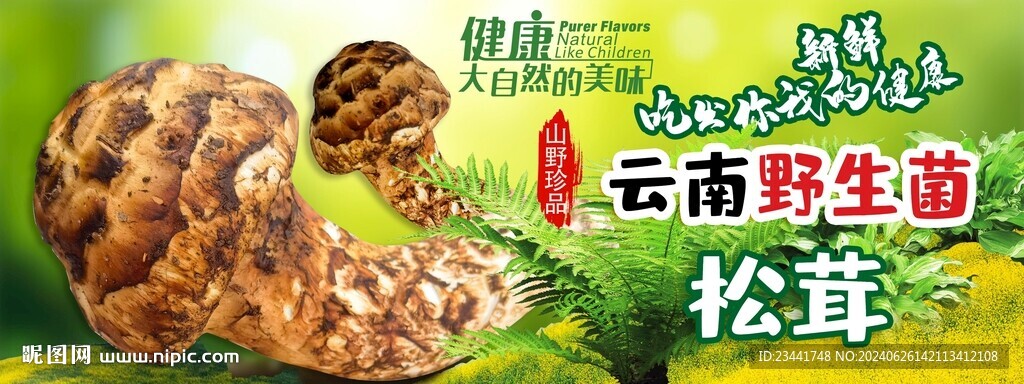 云南野生菌