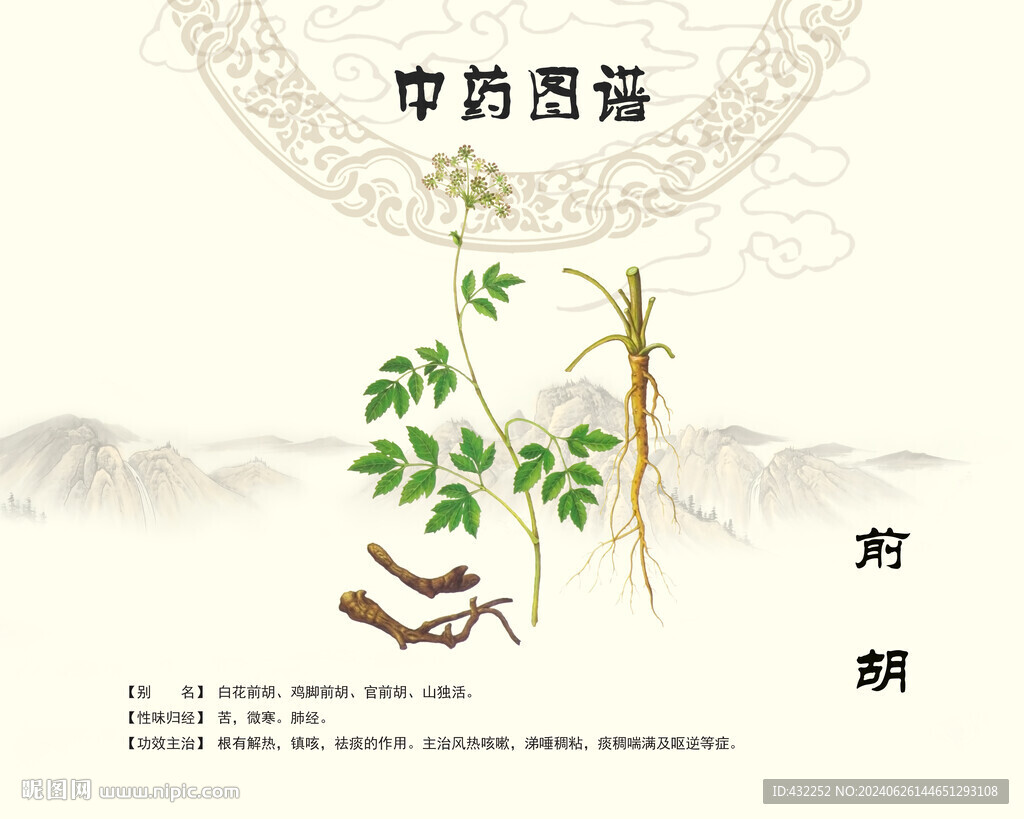 前胡