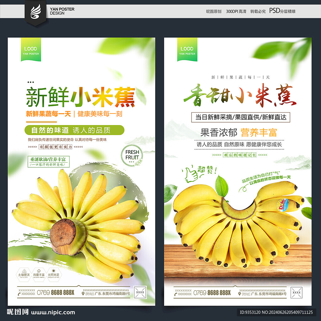 小米蕉