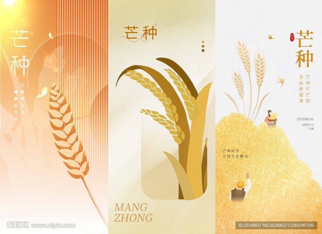 芒种海报