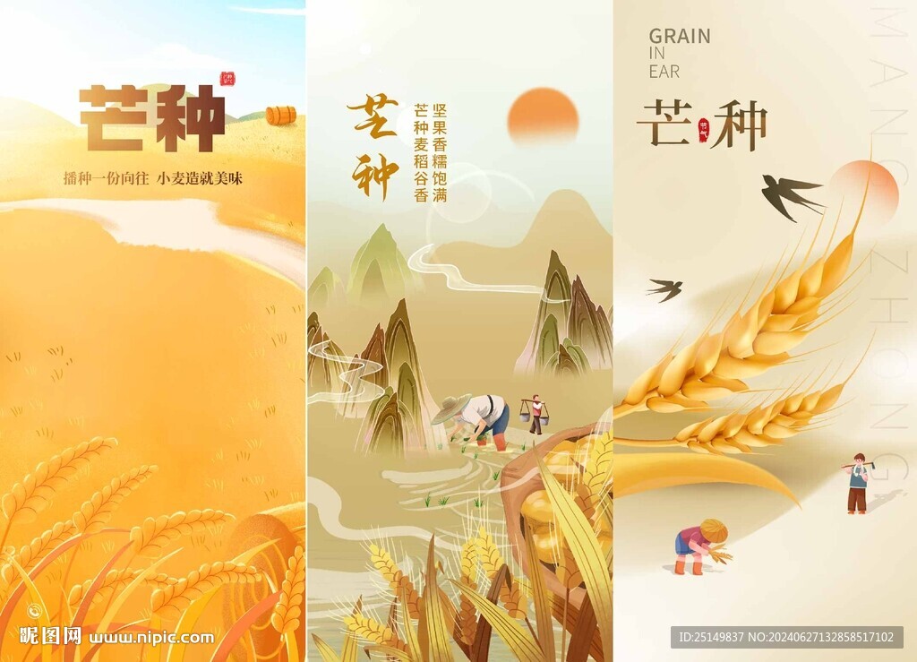 芒种海报
