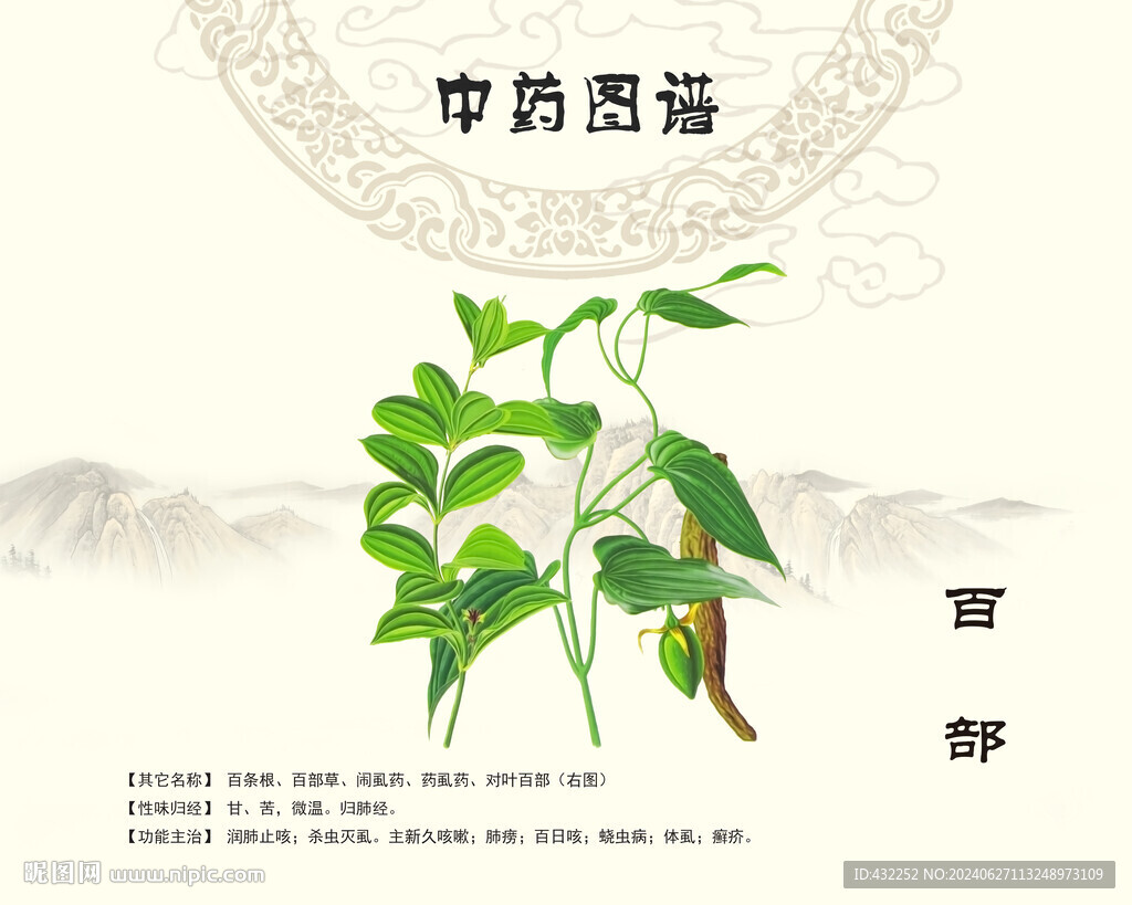 百部