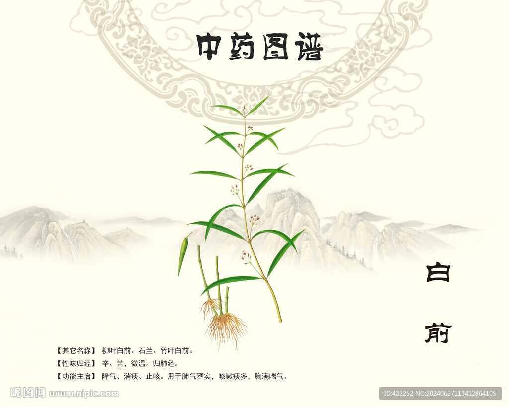 白前