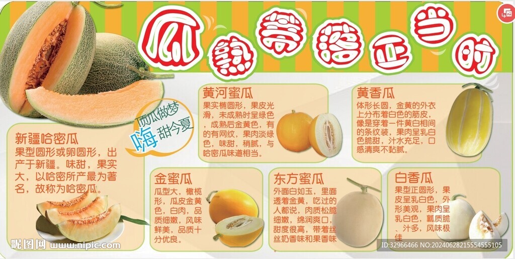 哈密瓜文描
