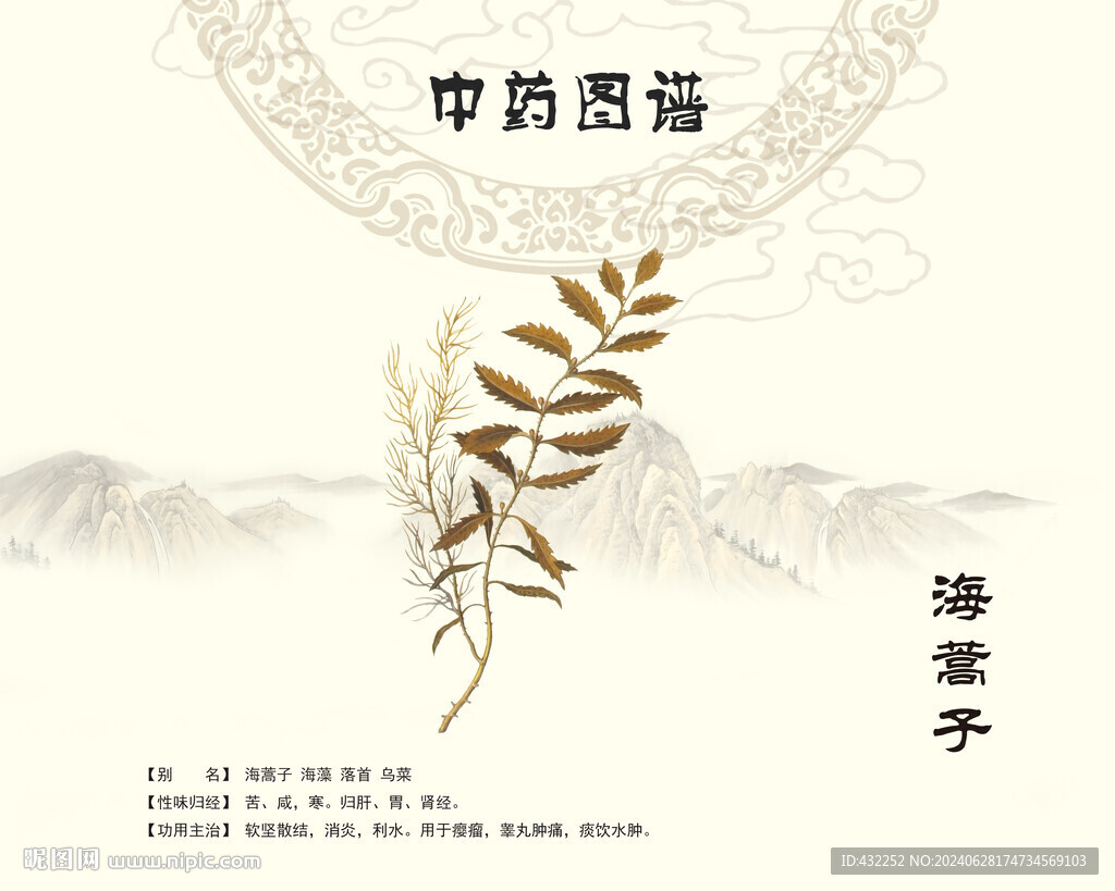 海蒿子海藻