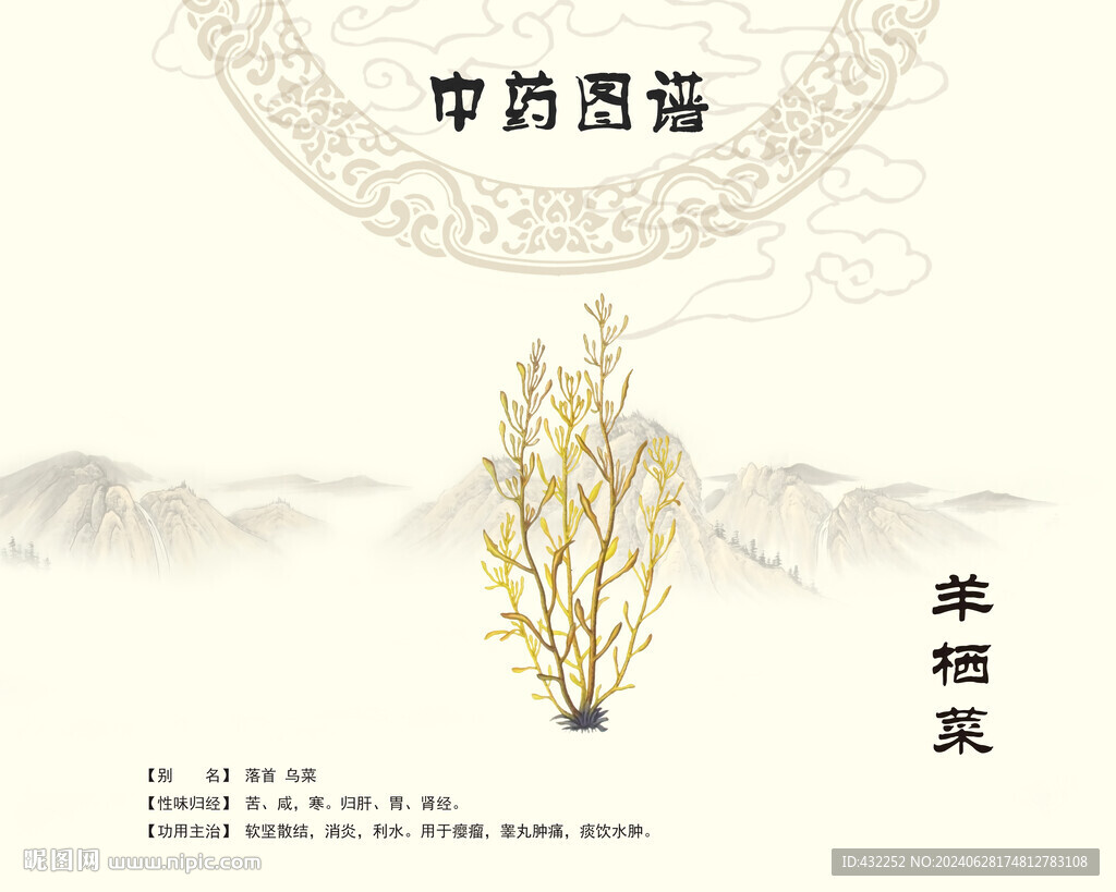 羊栖菜乌菜