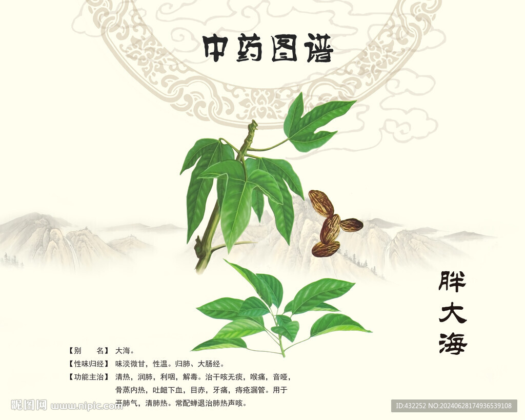 胖大海