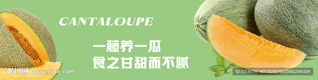 哈密瓜