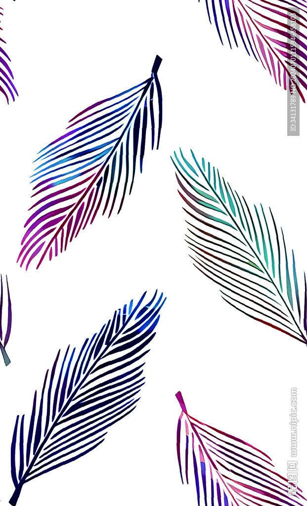 羽毛