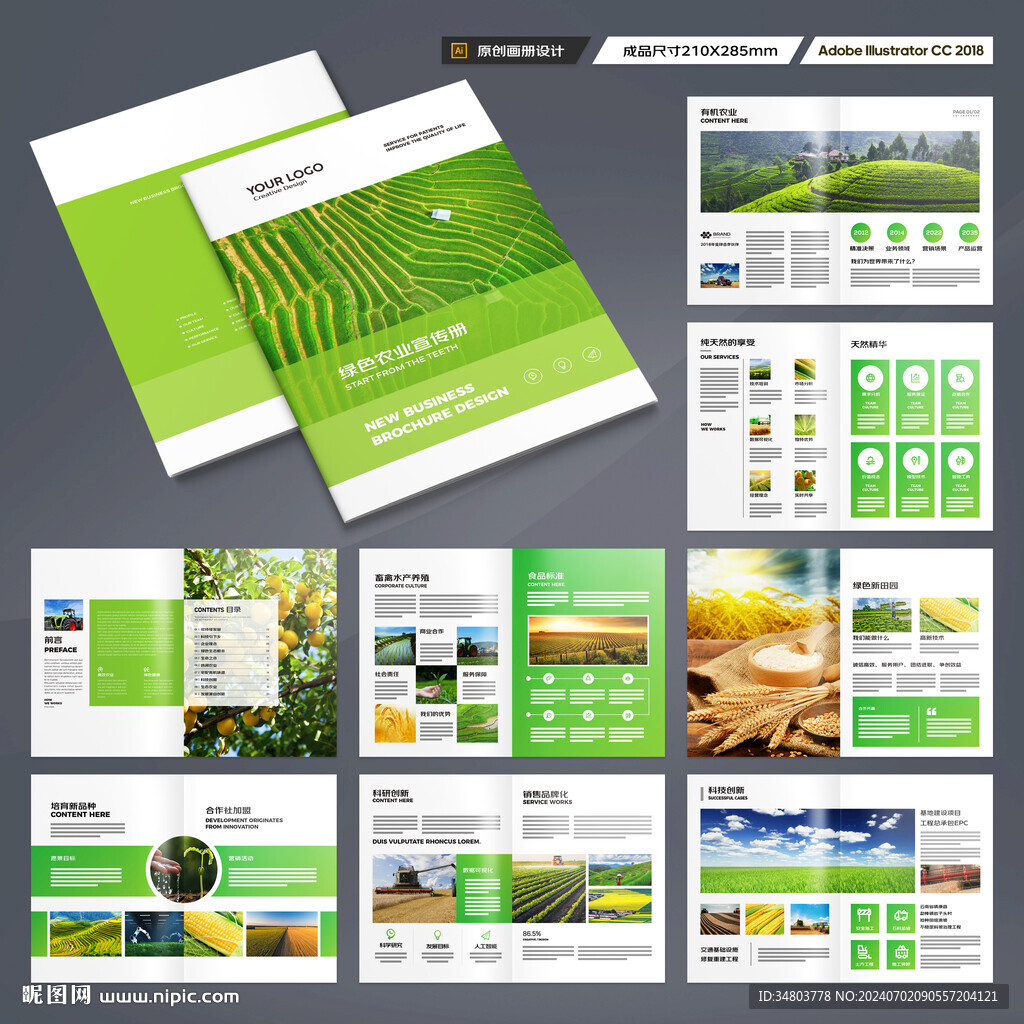 农产品宣传册