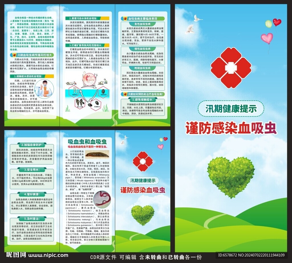 预防血吸虫三折页