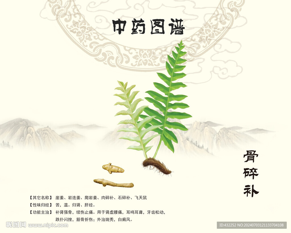 骨碎补