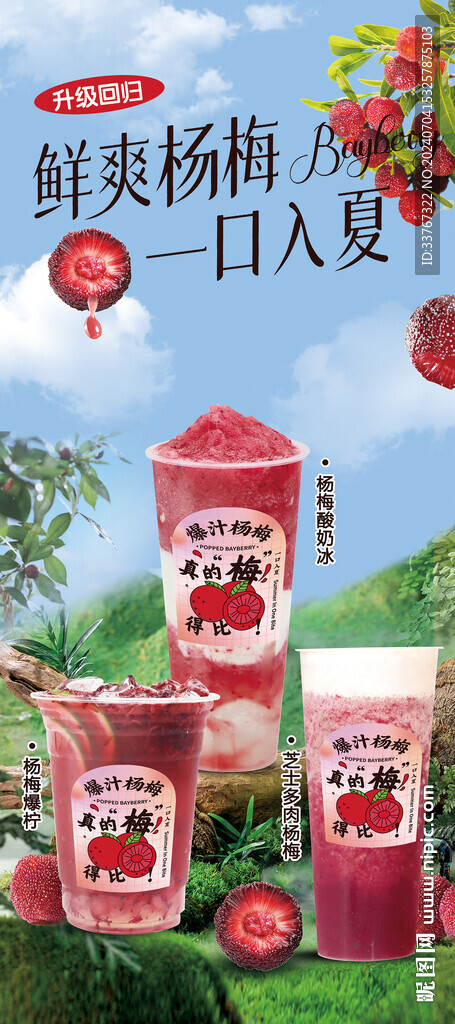 杨梅系列展架海报