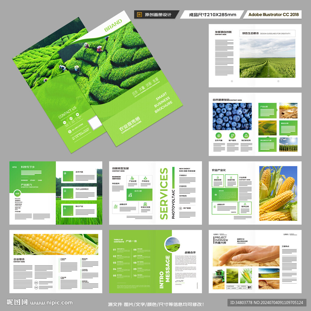 农业合作社画册