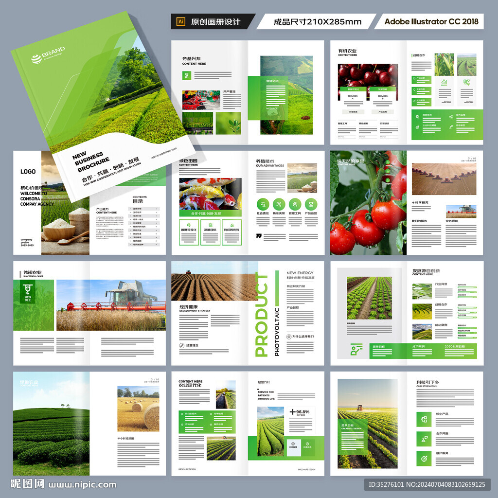 农产品宣传册