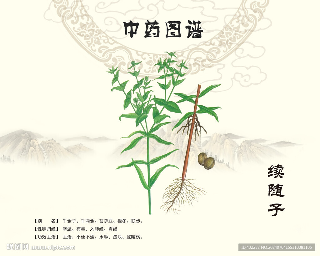 续随子