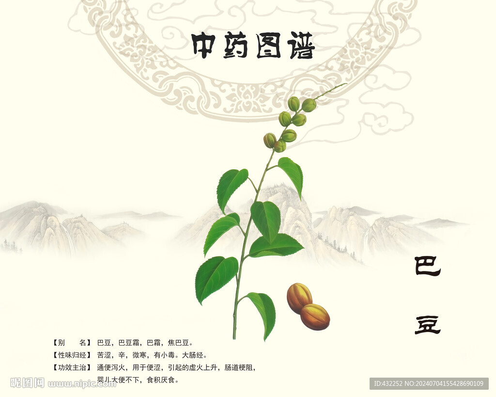 巴豆