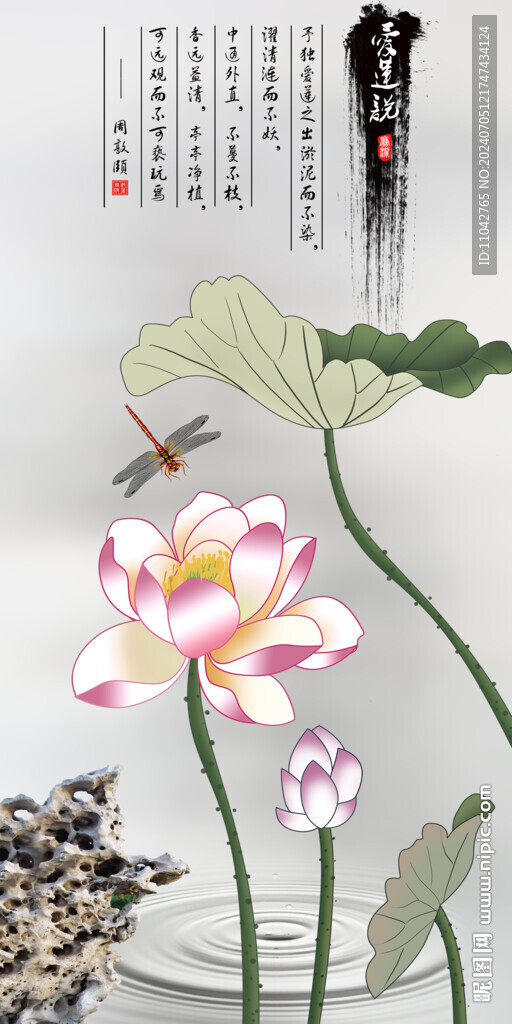 荷花图 