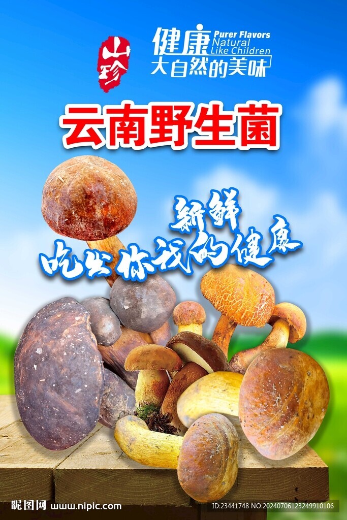 野生菌海报