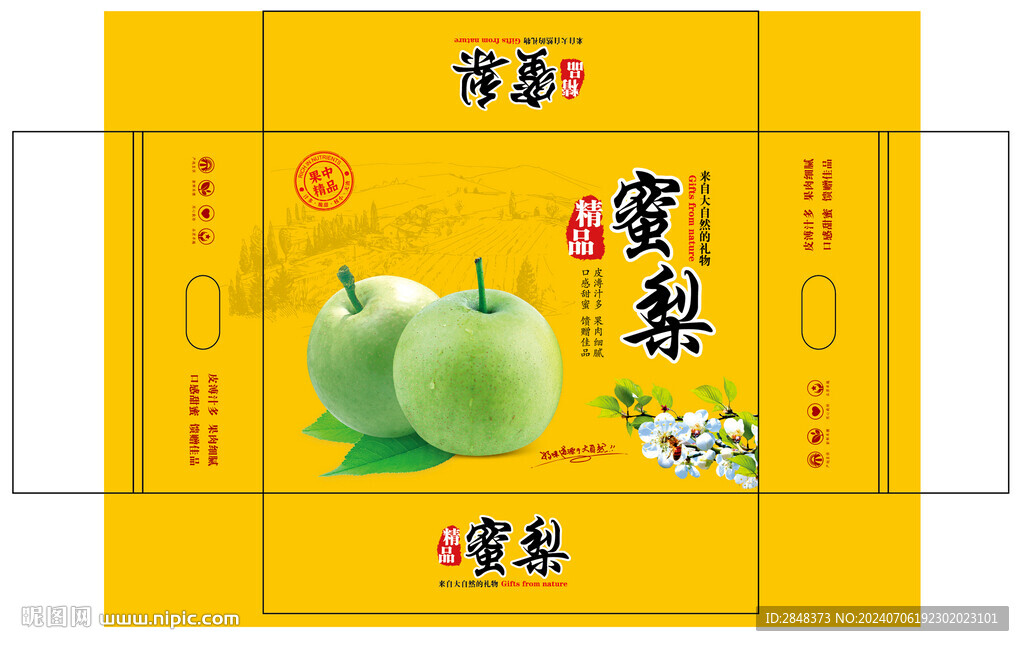精品蜜梨平面展开图