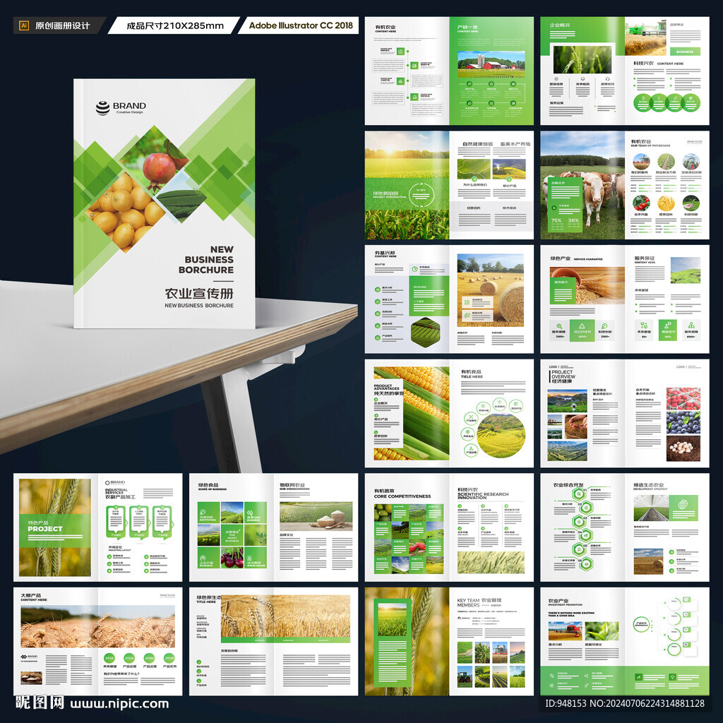 农产品画册