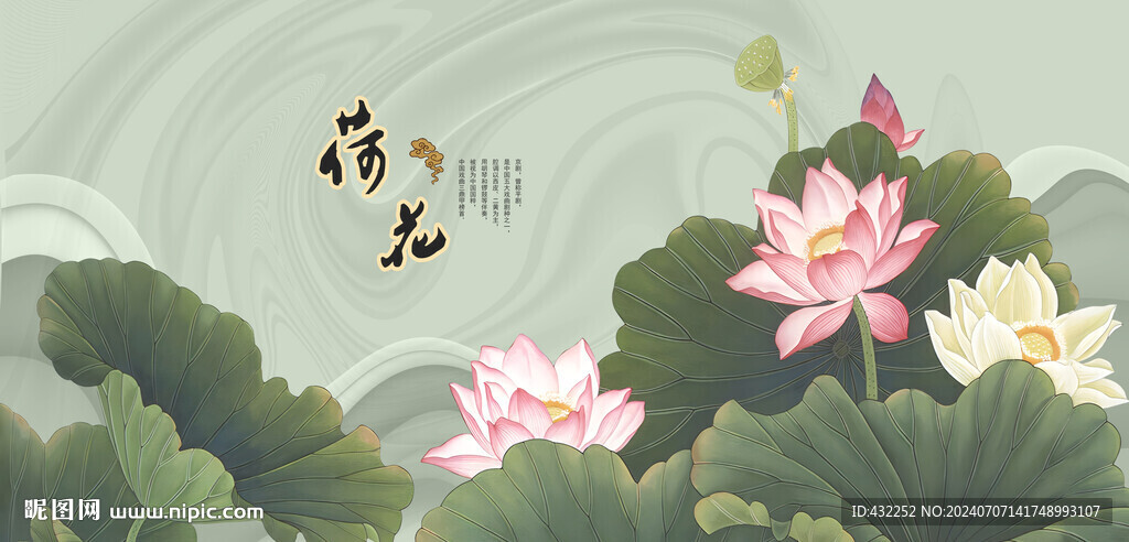 荷花国画荷花