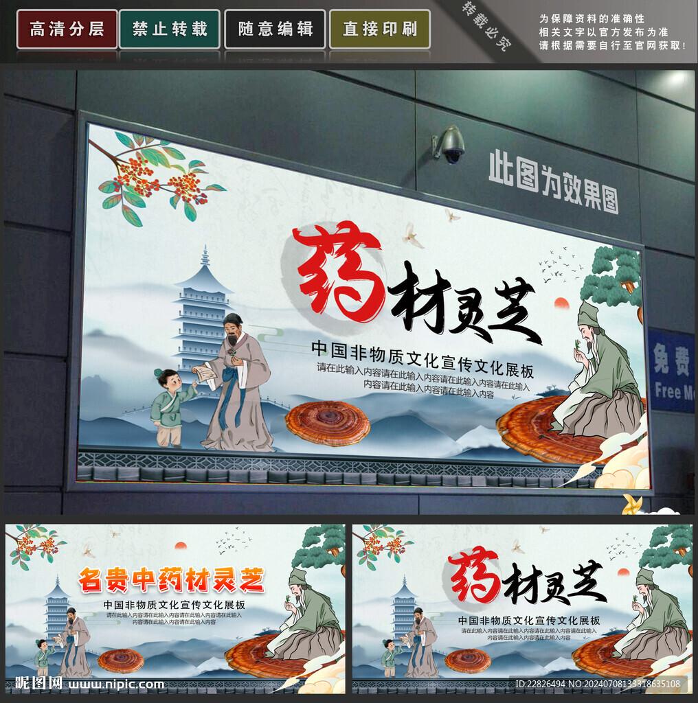 灵芝