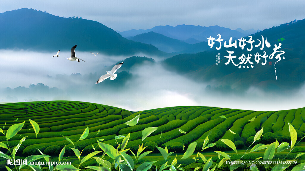 茶园茶山茶道