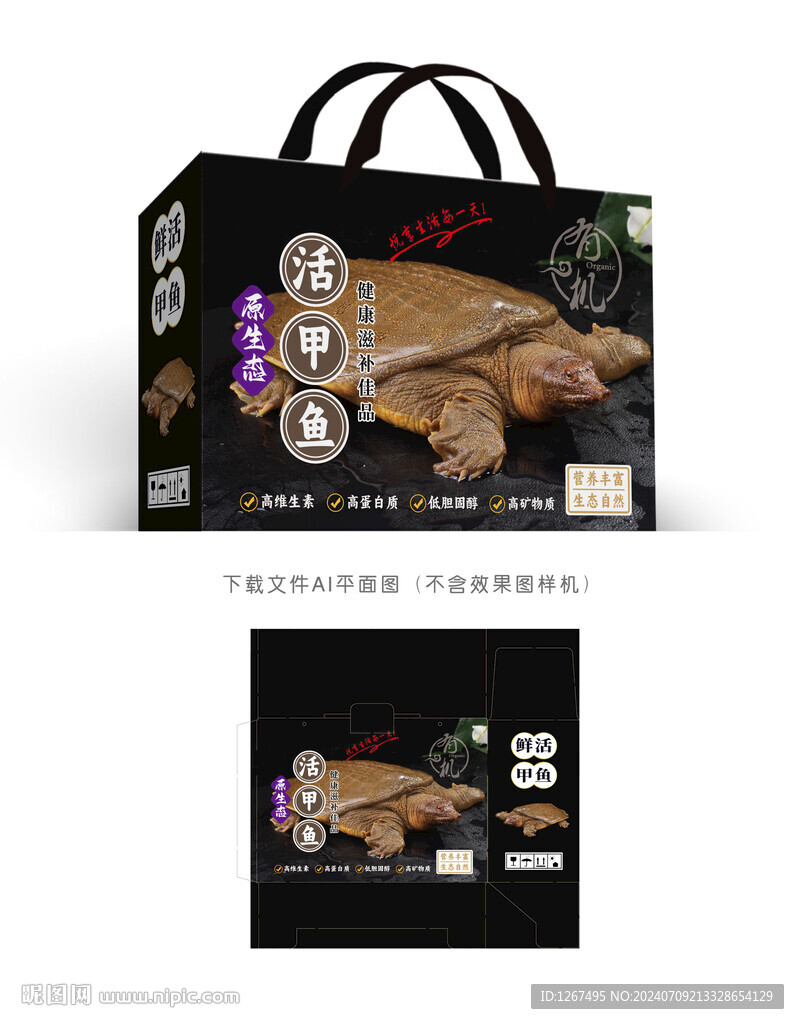 甲鱼设计