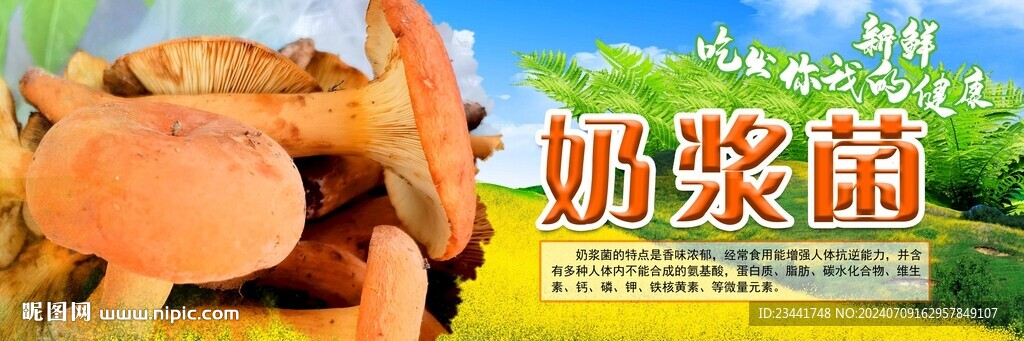 奶浆菌