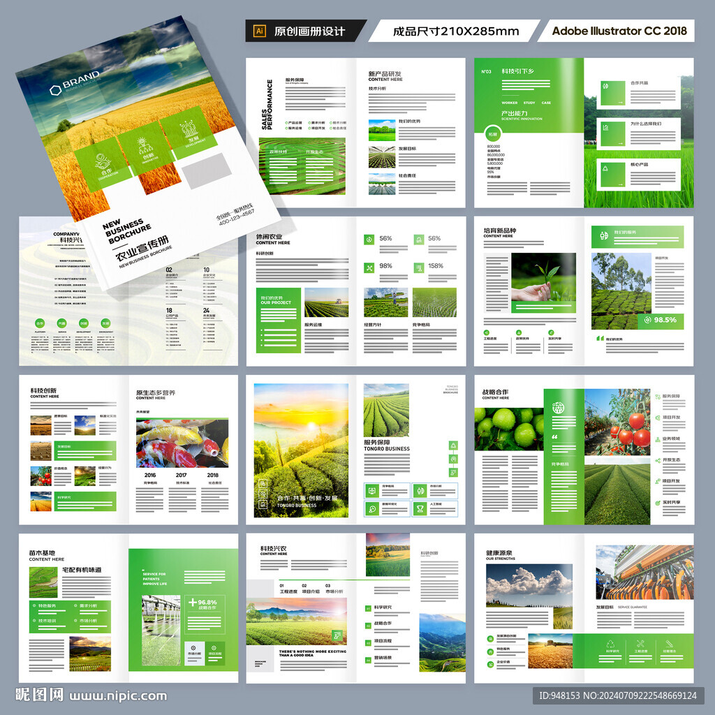 农产品宣传册