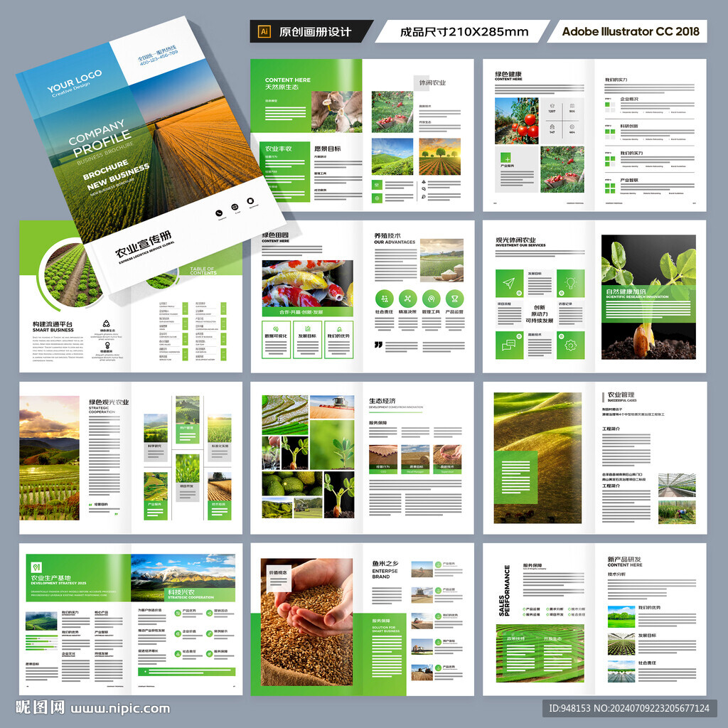农产品画册