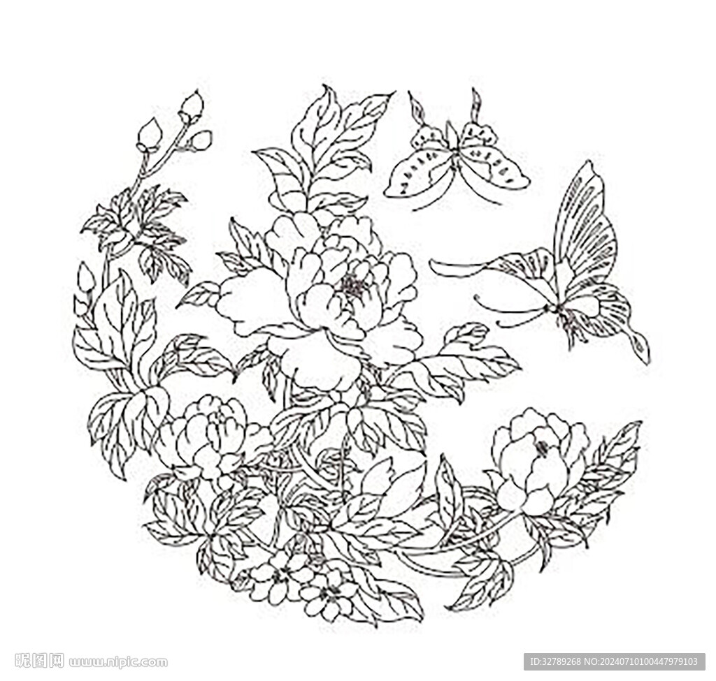 芙蓉蝴蝶