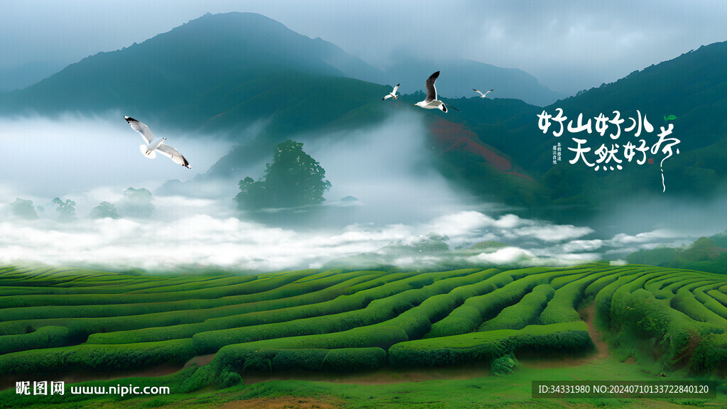 茶园茶山